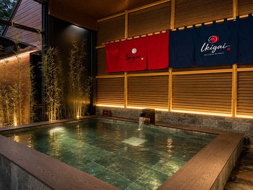 Ikigai Wellness Retreat 6